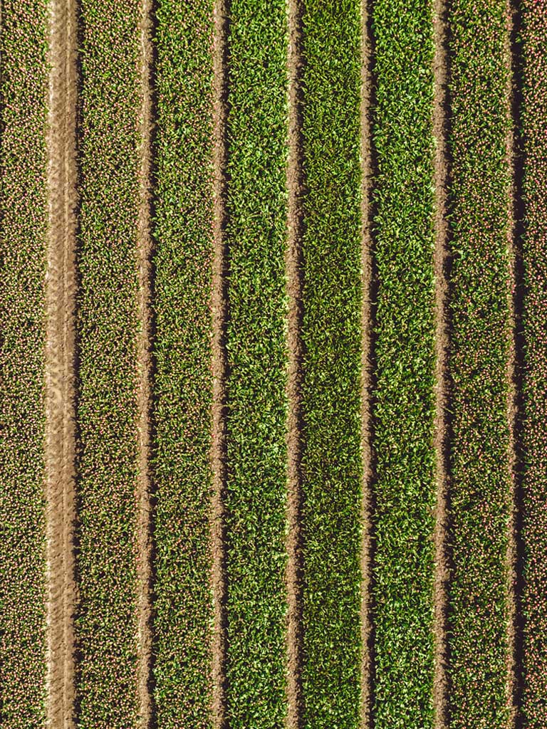 Agriculture de précision